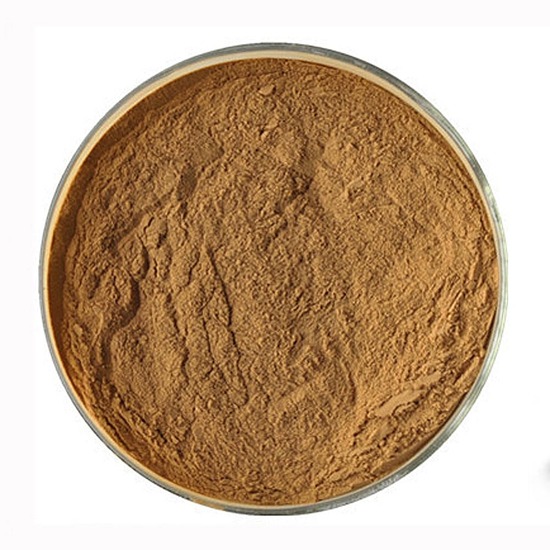 Dangshen Extract (Codonopsis Pilosula)