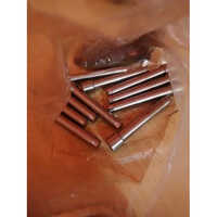 Die Punch - High-speed Steel (hss), Various Sizes Available, Silver | Long Life, Durable For Industrial Use, Precision Punching Operations