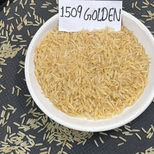 1509 Golden Sella Rice - Medium Grain, 95%-99% Purity, Fresh/Dried Variety, Shelf Life 6-12 Months, Commonly Cultivated