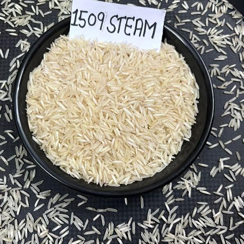 1509 White Basmati Steam Rice