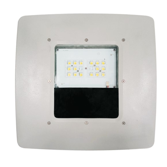 LUKER 80W CENNO CANOPY LIGHT (LPBO80N)