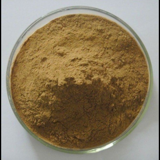 Miswak Extract