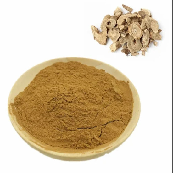 Saussurea Costus Extract - Natural Herbal Supplement | Antimicrobial, Anti-inflammatory, Hepatoprotective, Antioxidant, Digestive Health Aid