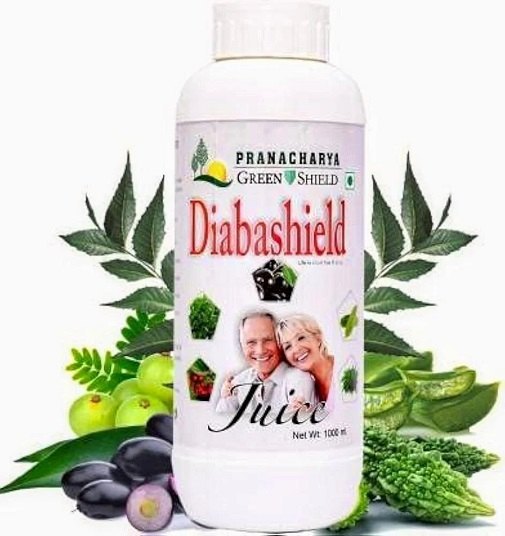 Diabashield Juice - All-natural Blend Of Ayurvedic Herbs | Supports Blood Sugar Levels With Bitter Gourd, Jamun & Aloe Vera