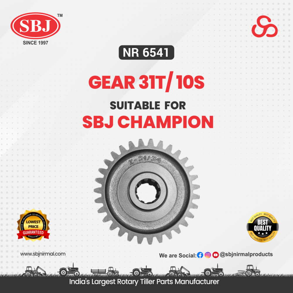 GEAR 31T/10S SUITABLE FOR SBJ CHAMPION