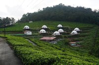 Glamping tent for mountain