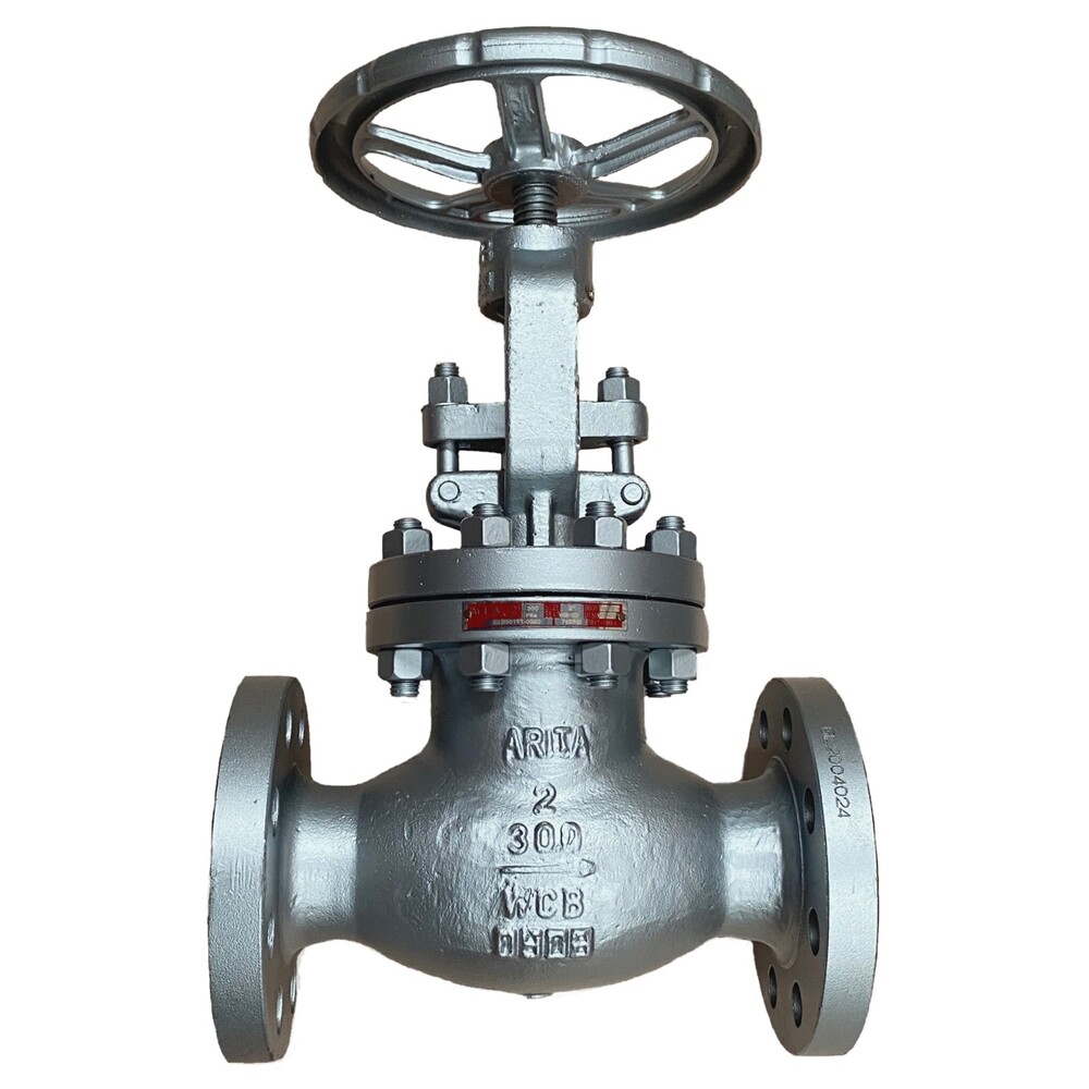 SS 304 GLOBE VALVE