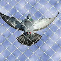 High Grade Bird Net