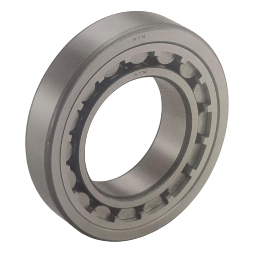Cylinder Roller Bearing - Material: Stainless Steel