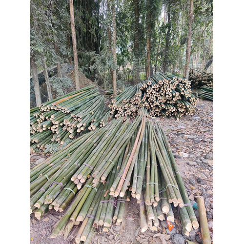 10 Feet Bamboo Pole