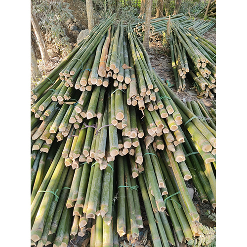 12 Feet Bamboo Pole