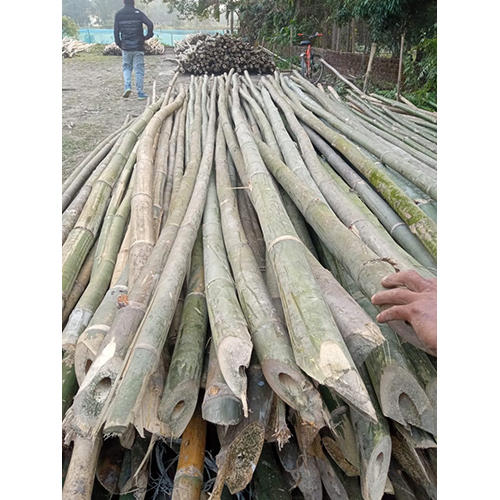 20 Feet Jhar Bamboo Pole