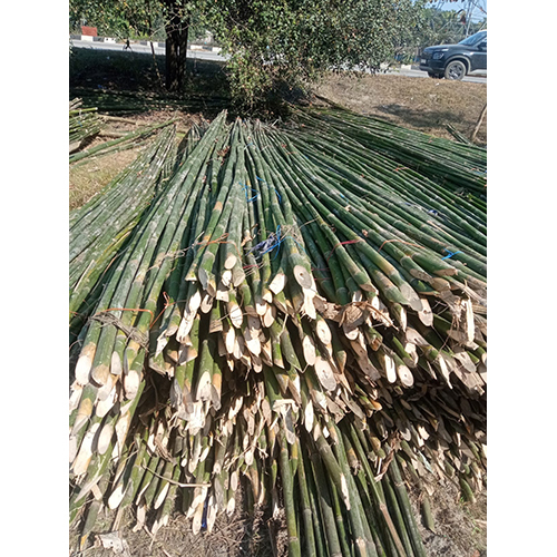 20 Feet Murli Bamboo Pole