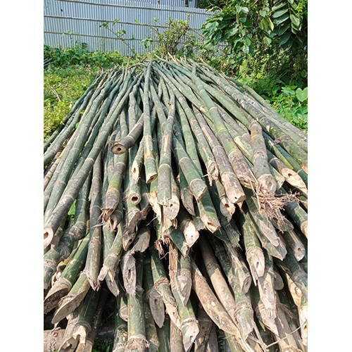 24 Feet Bullet Bamboo Pole