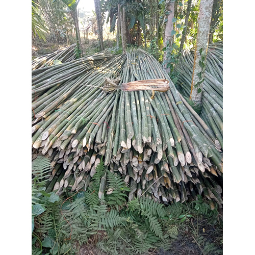 27 Feet Murli Bamboo Pole