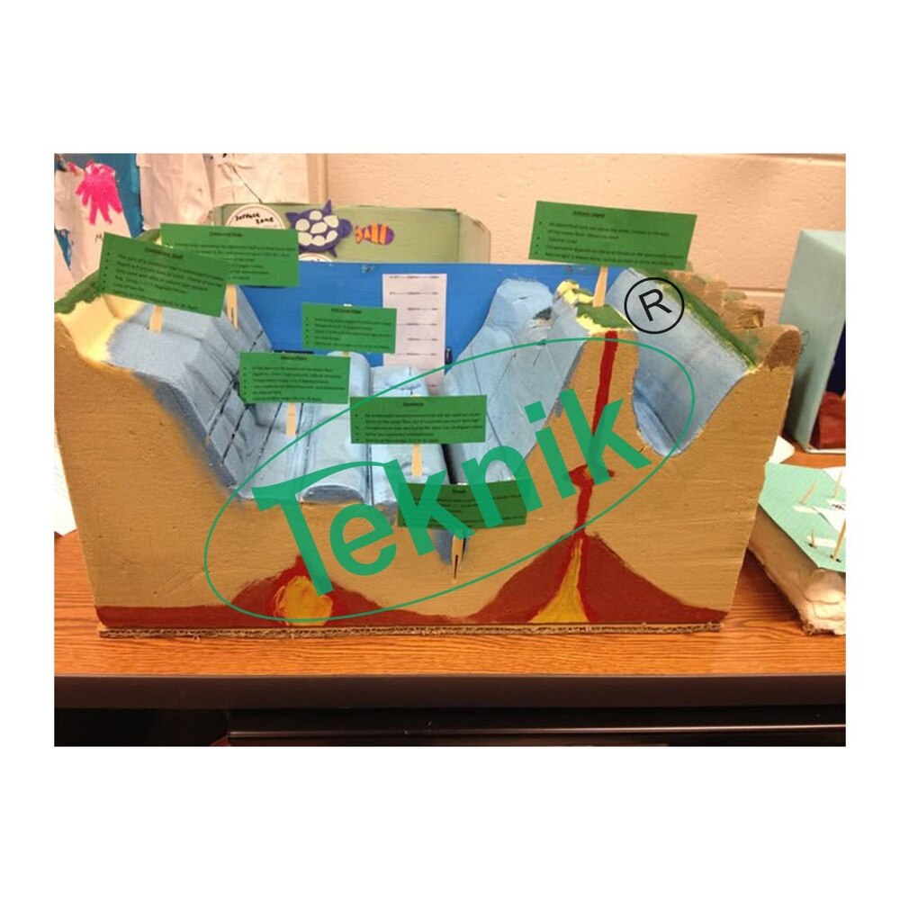 Oceanic Floor Fracture Model - Pvc Material, 50 X 16 X 22 Cm Dimensions | Ideal For Biology Models, Educational Demonstrations