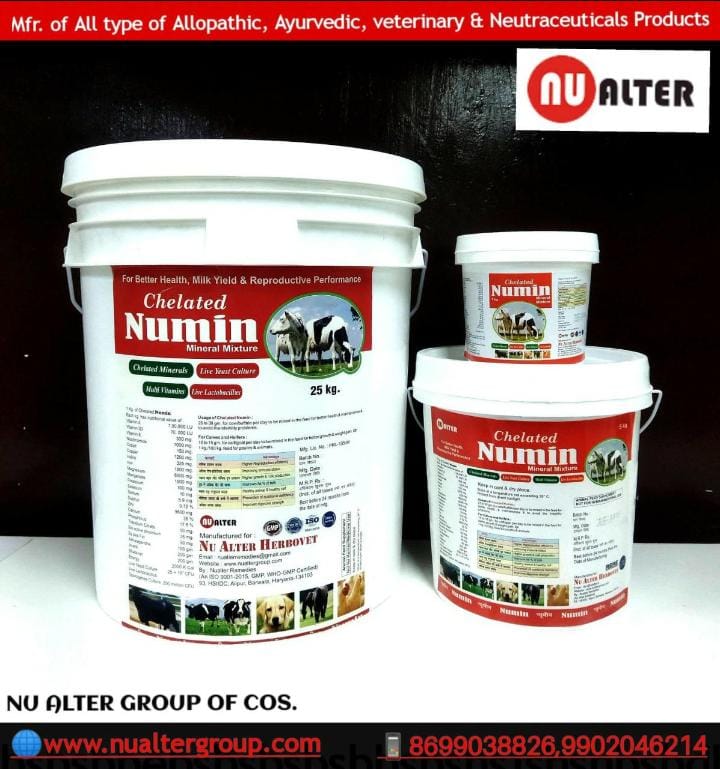 NUMIN POWDER ( MIN-MIX VET)