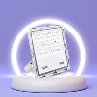 60W/150W/250W/300W Non Warranty Quality Led Flood Lights