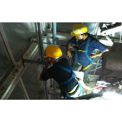 Goods Elevator Maintenance Service By We Care Elevators Pvt Ltd