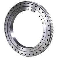 Slew Ring Bearing - Color: Silver