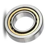 Industrial Cylindrical Roller Bearing