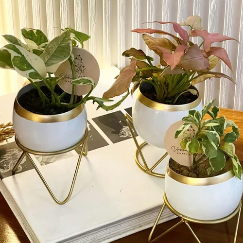 Home Metal Decorative Table Planter