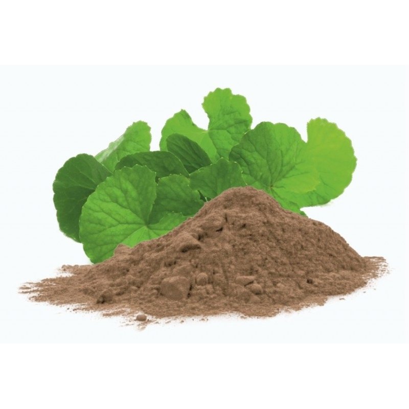 Centella Dry Extract 20% Saponin
