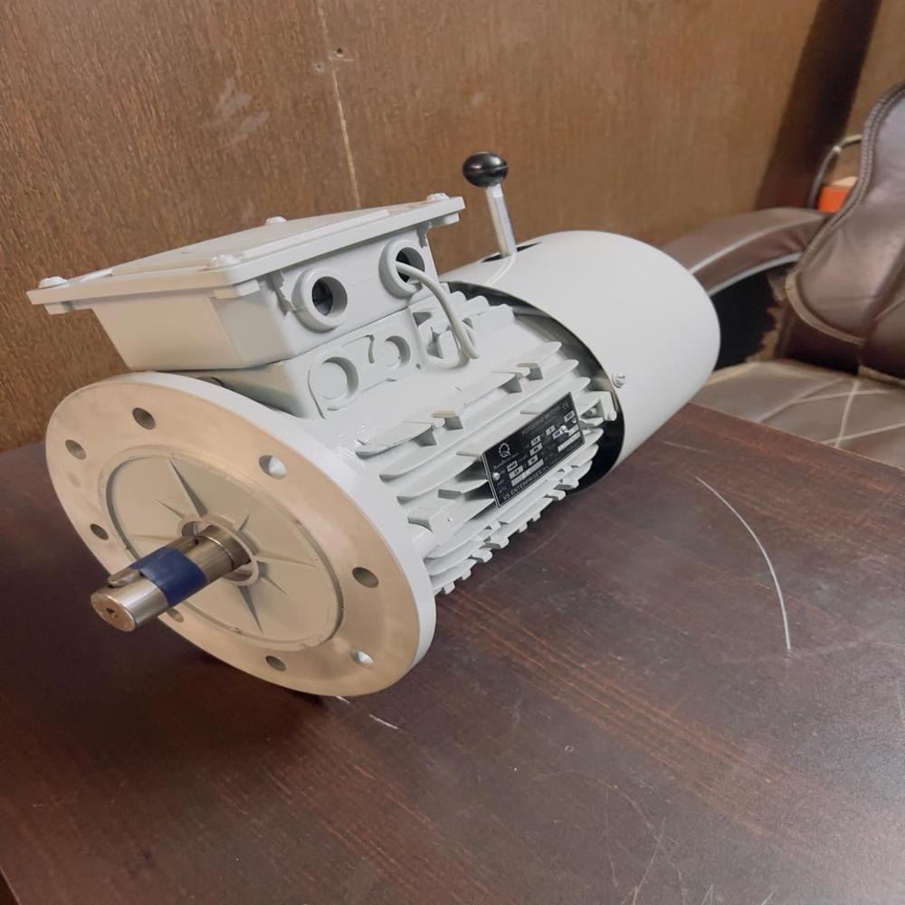 Crane Dutty Brake Motor