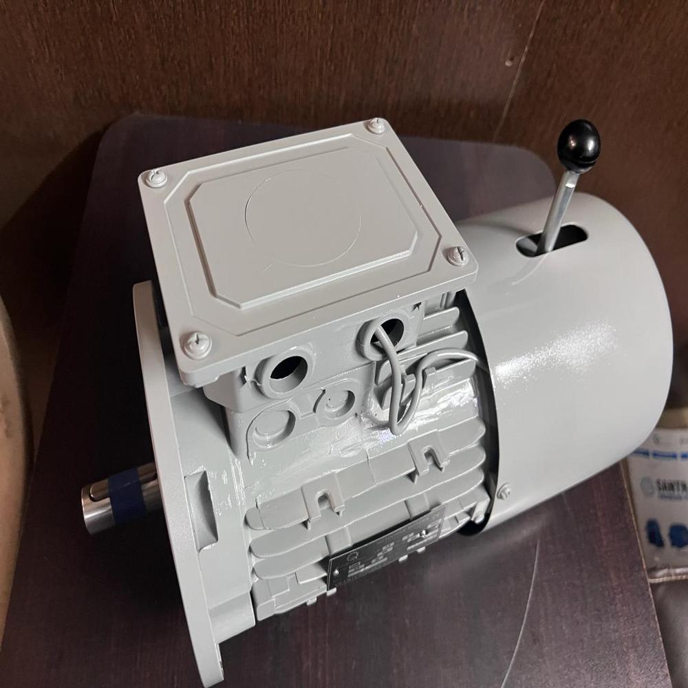 Crane Dutty Brake Motor