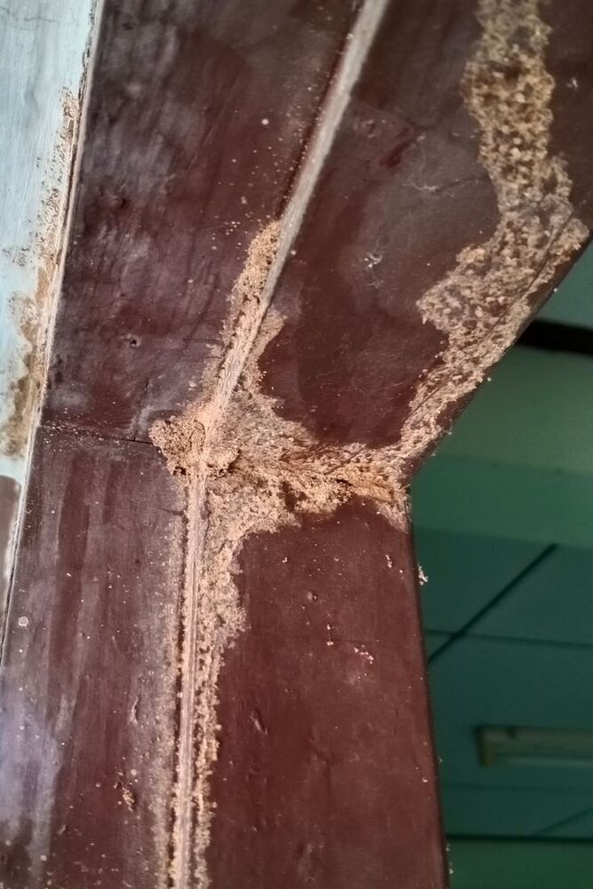 Post Construction Anti Termite Treatment