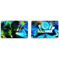 Flip Flop Hologram Sticker - Color: Silver