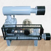 Etp And Stp Twin Lobe Roots Blower - Color: Grey