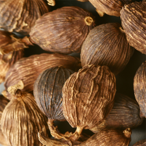 Black Cardamom