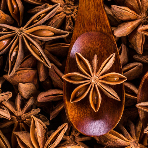 Star Anise - Color: Brown