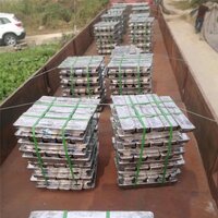 Lead Ingot