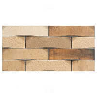 Elevation Wall Tiles