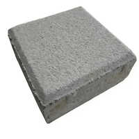 Cement Paver Block
