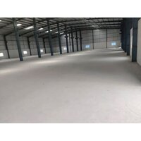 Vdf Flooring Service