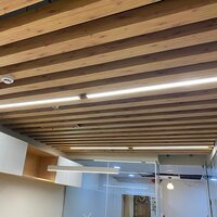 Baffle Ceilings - Color: Customised