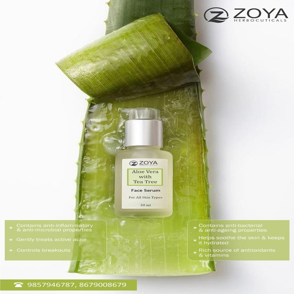 Aloe Vera With tea extract