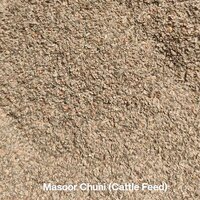 Masoor Chuni - Color: Brown