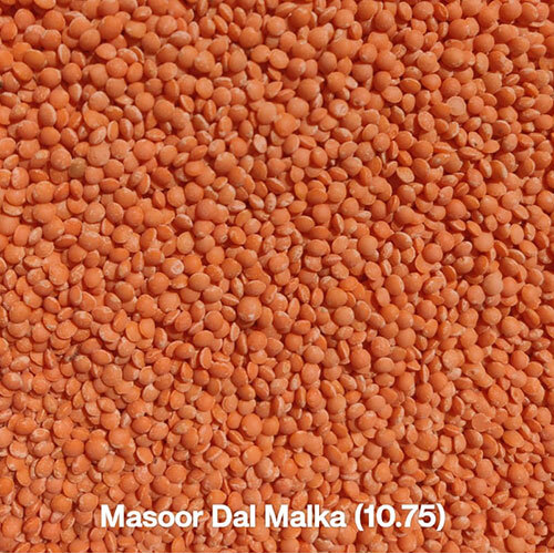 Masoor Dal malka 10.75