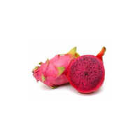 Pink Dragon Fruit