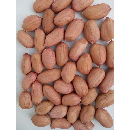 जमीनी मुट्ठी -