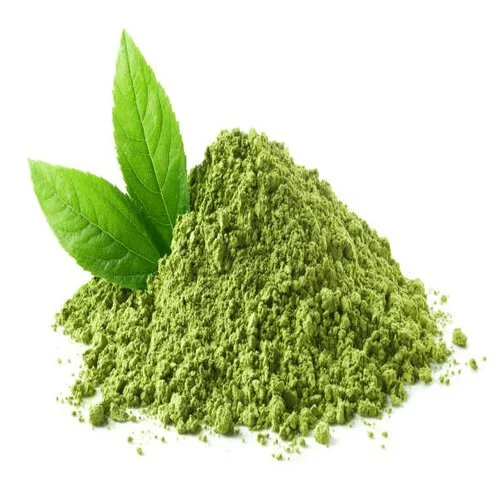 Green Tea Extract Powder