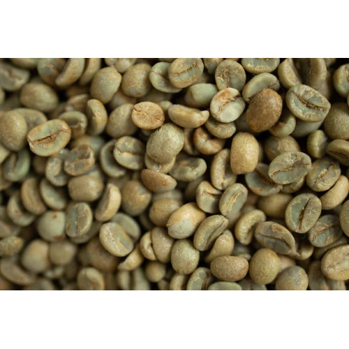 Green Coffee Bean Extract Powder