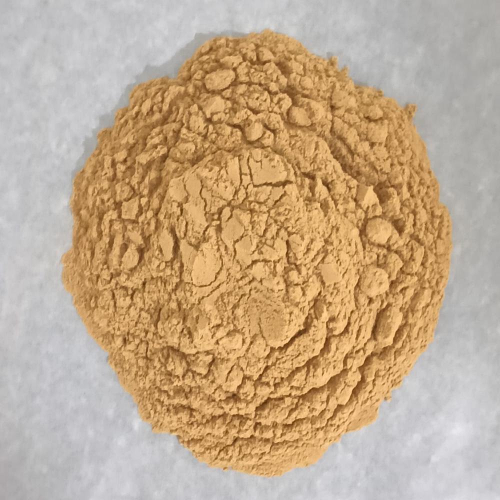 Green Coffee Bean Extract Powder