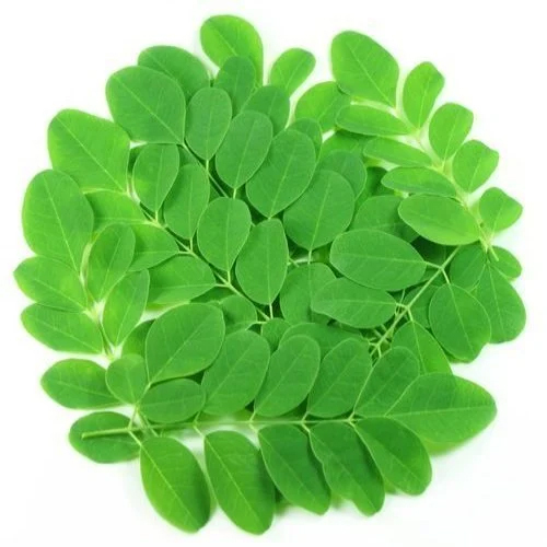 Moringa Leaves Powder