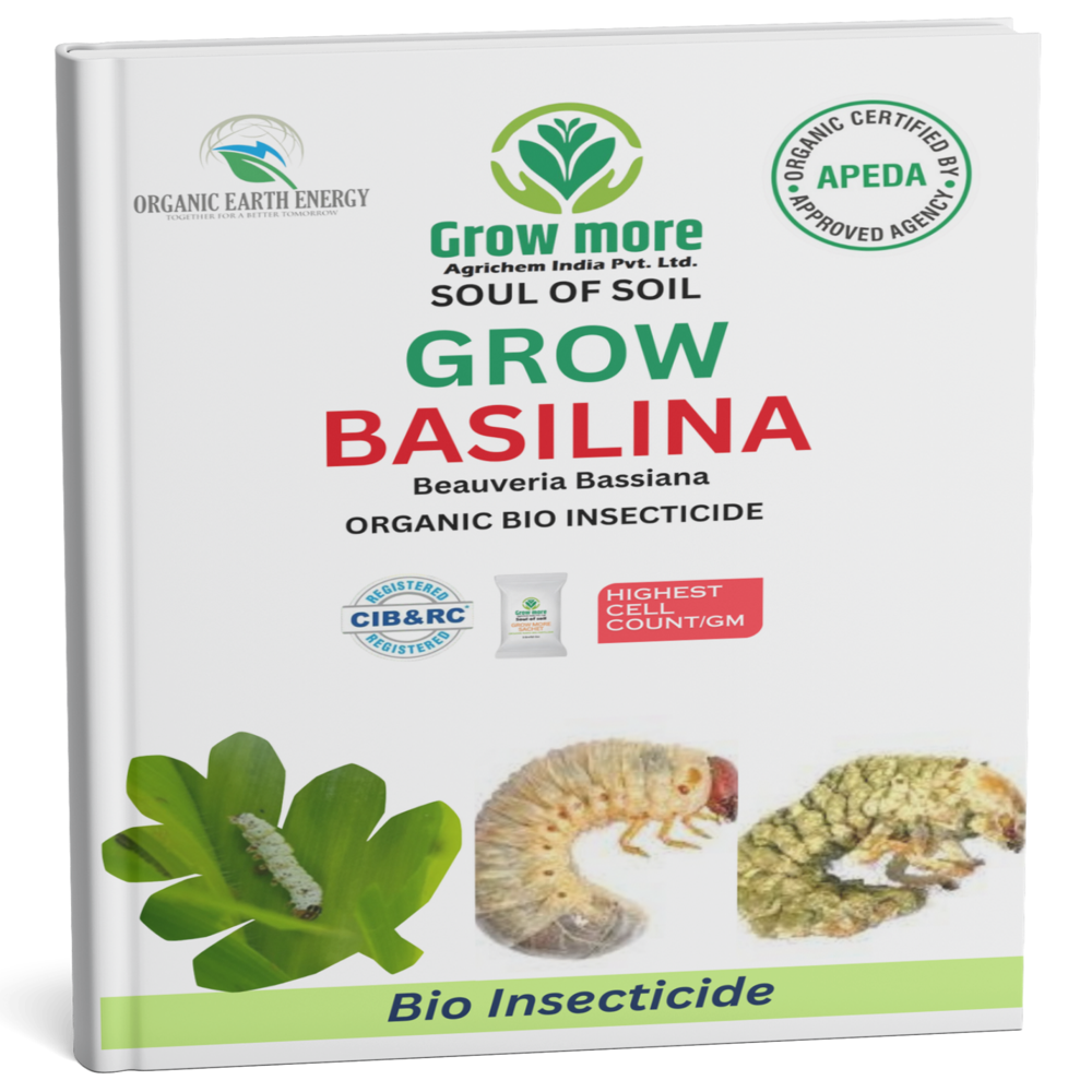 Grow Basilina