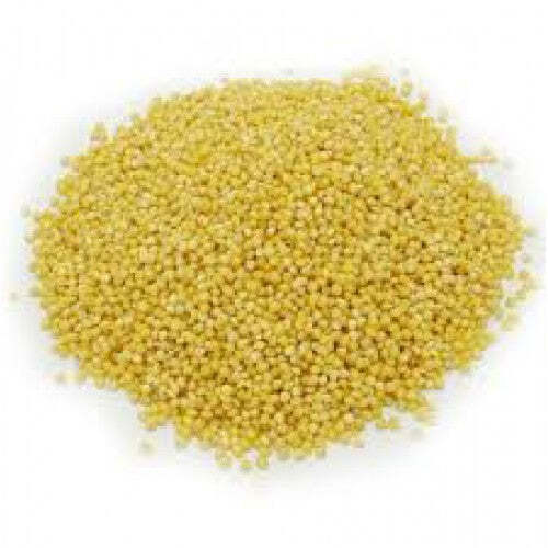 proso millet
